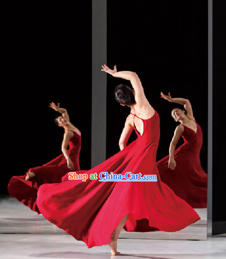 Professional Stage Performance Modern Dance Skirt