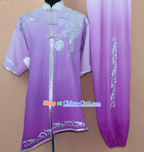 Professional Silk Taiji Martial Arts Suit Complete Set