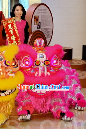 Chinese Lion Dance Equipment