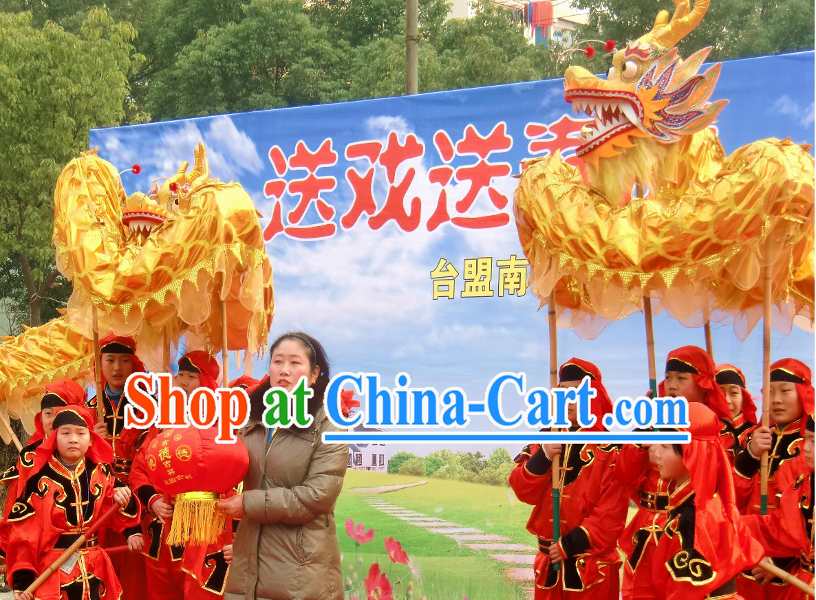 chinese dragon Dance costume