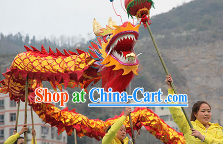 dragon dancing costume