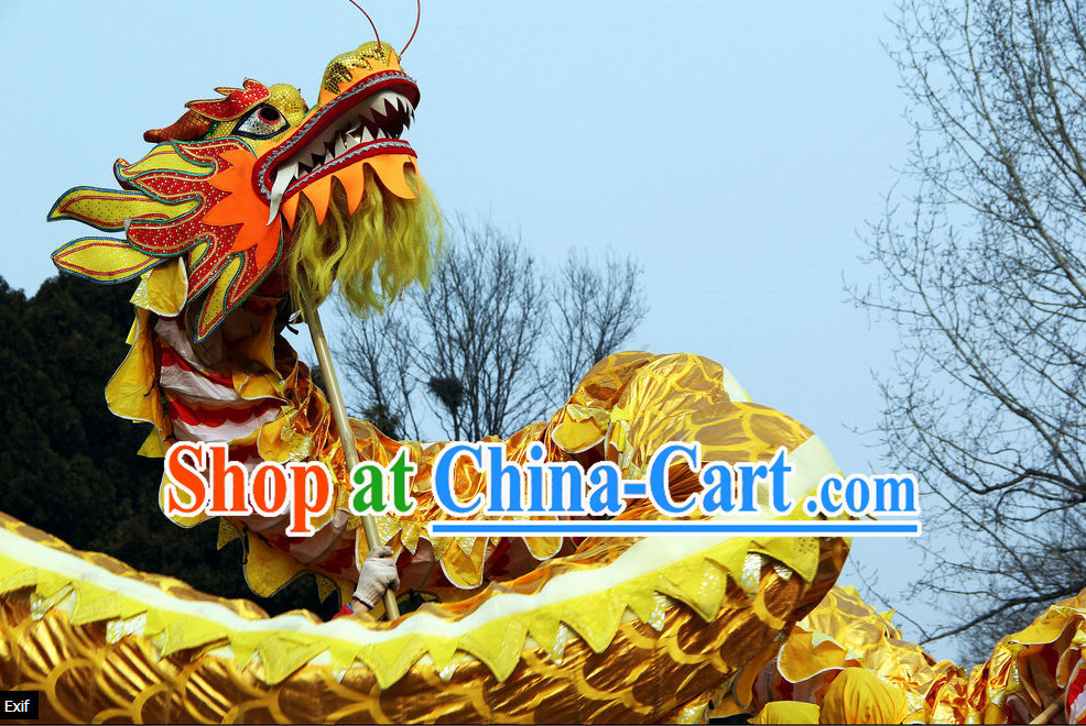 10 Meters Brand New Gold Chinese Dragon Dance Costume Complete Set