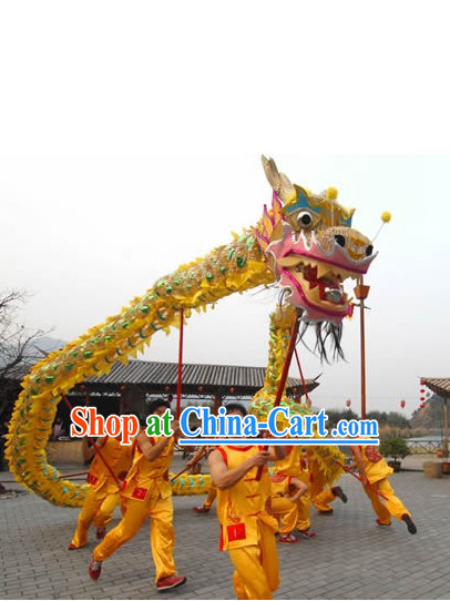 dragon dancing costume