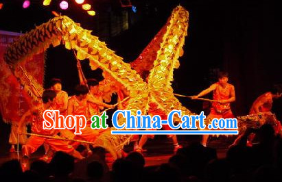 dragon dancing costume