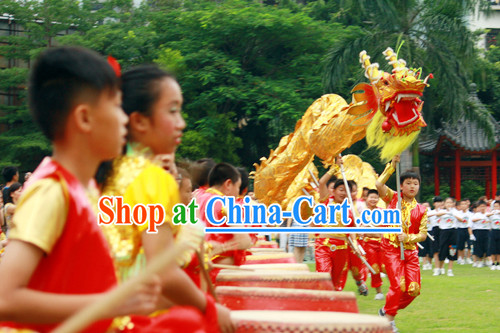 lion dancing dragon dancing equipments and costumes