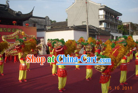 Chinese New Year Parade Lion Costume for One Person