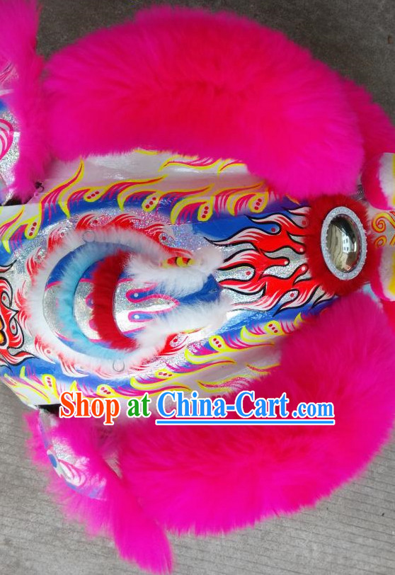 lion Dance championship