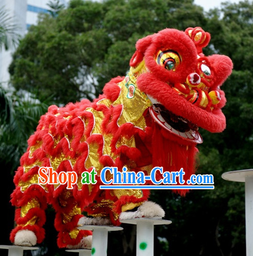 Top Happy Festival Celebration Hok San Southern Chinese Lion Mascot Costumes