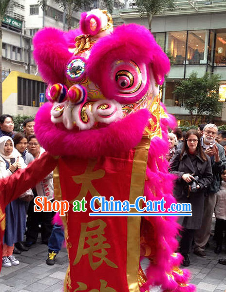 Chinese Festival Lion Mascot Costume Complete Set