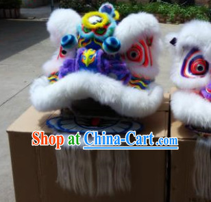 lion and dragon Dance