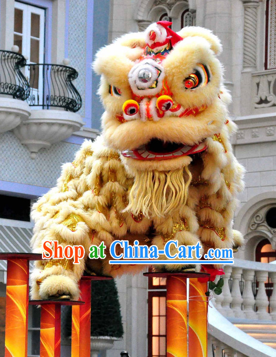 Asian Chinese Lion Costume Complete Set