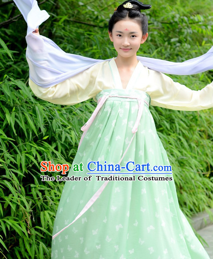 Ancient Chinese Costumes Free Custom Tailored Tang Dynasty Classic Garment Costume for Women