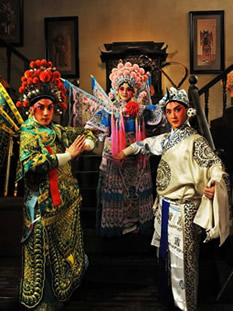 Beijing Opera & other Opera Costumes