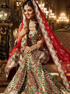 Traditional Indian Costumes