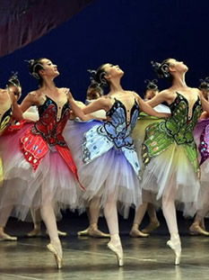 Ballet Dance Costumes
