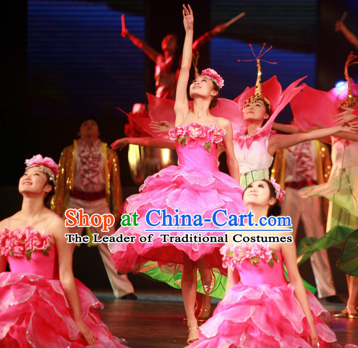 Chinese Dance Costumes Classical Dance Costume Props