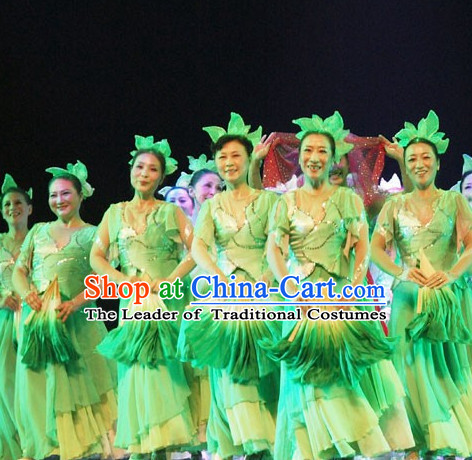 Chinese Classical Leaf Dance Costumes and Headwear Complete Set for Women