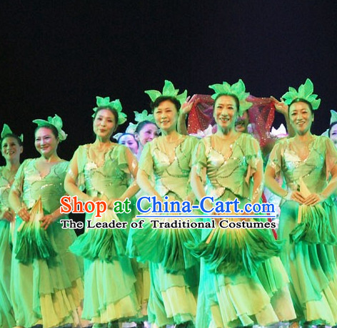 Chinese Classical Leaf Dance Costumes and Headwear Complete Set for Women