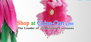 Chinese Dance Costumes Classical Dance Costume Props