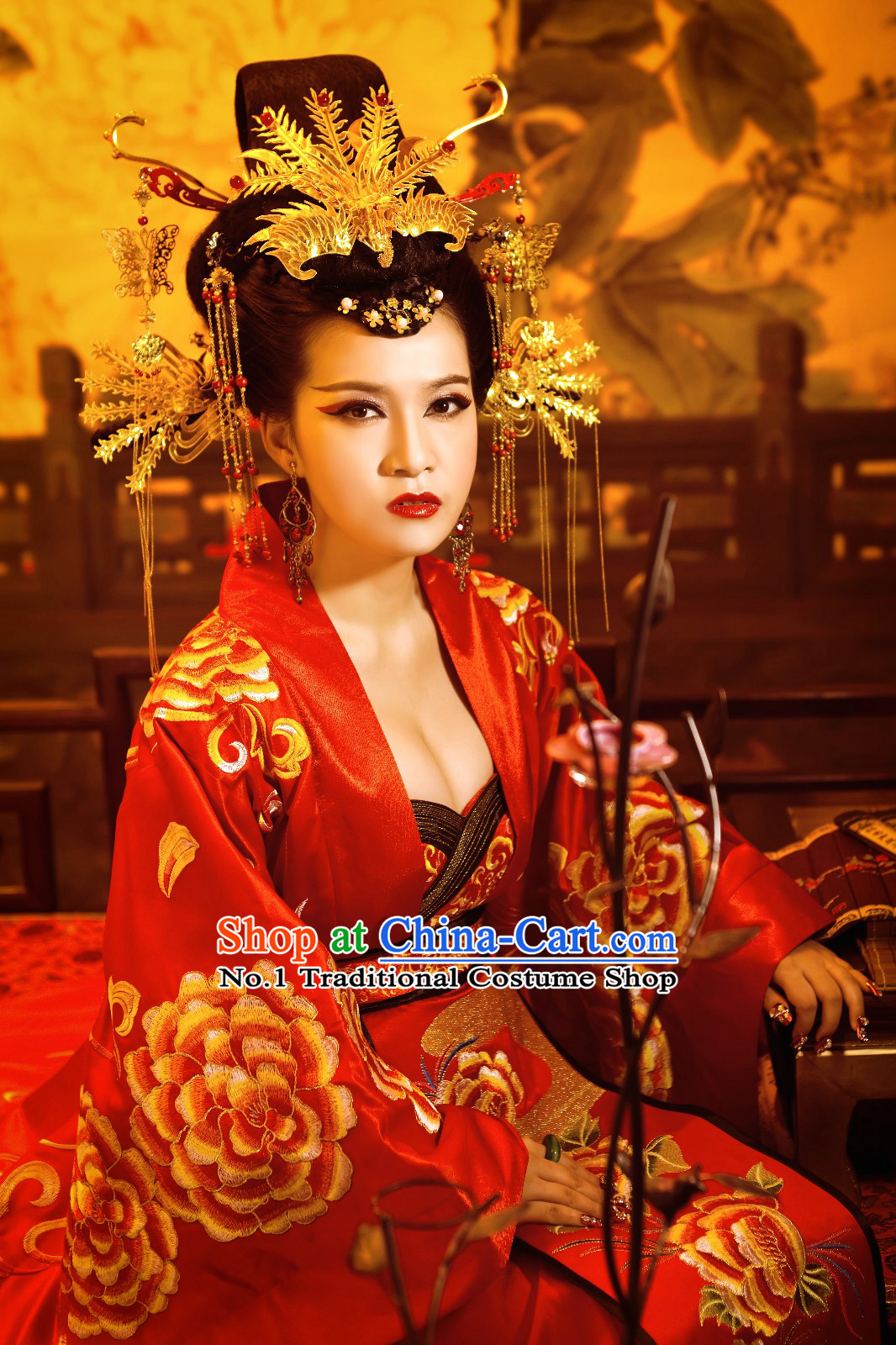 China Ancient Empress Clothes and Phoenix Hair Accessories