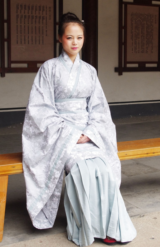 Chinese Hanfu Robe and Skirt for Women