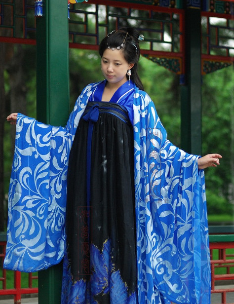 Chinese Tang Dynasty Robe and Skirt for Women