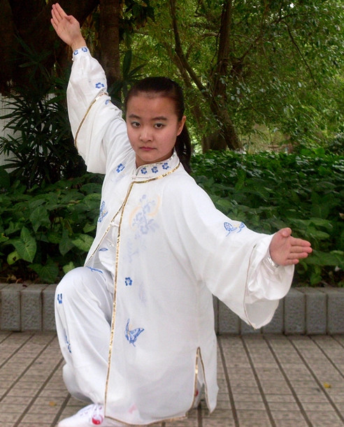Long Sleeves Chinese Tai Chi Chuan Tai Chi Pants Tai Chi Outfits