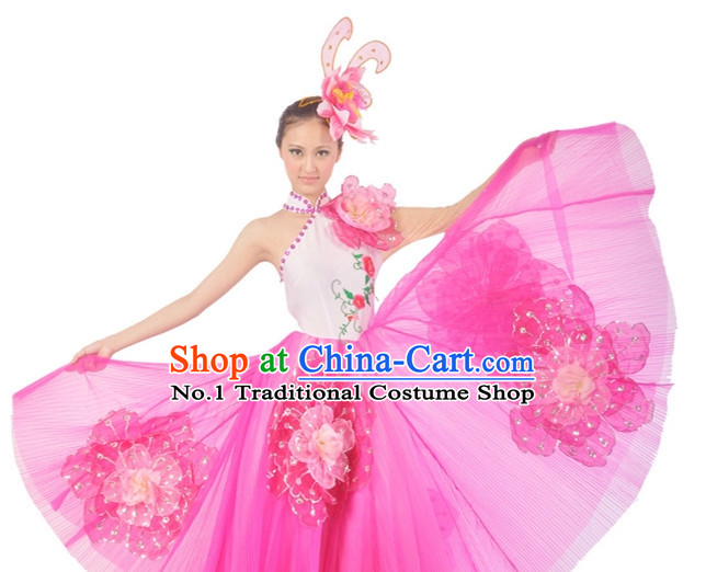 China Dance Costumes Ballerina Costume Burlesque Costumes Salsa Costumes