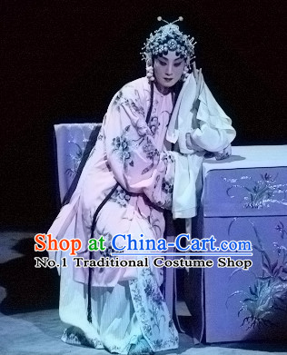 Ancient Chinese Beijing Opera Chui Gui Meng Long Water Sleeves Robe Costumes for Women
