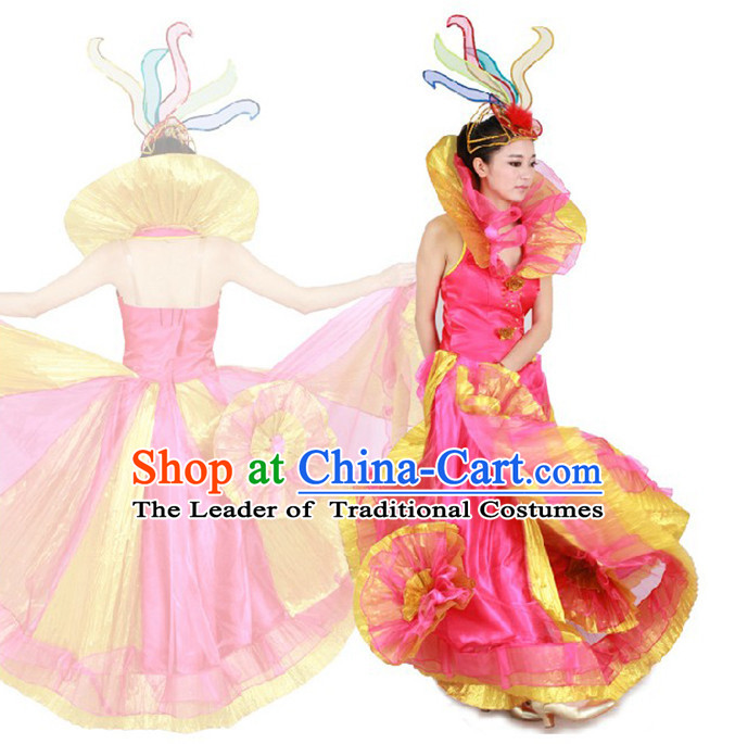Chinese Teenagers Dance Costume and Hair Decorations for Competition