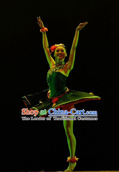 Chinese ethnic She Dance costumes Dancewear Asian Dancewear folk Dance