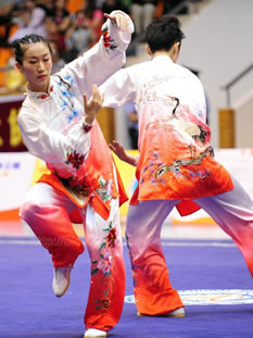 Kung Fu and Tai Chi Suits