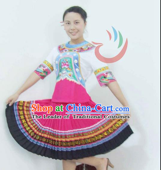 Traditional Chinese Miao Nationality Dancing Costume, Hmong Female Folk Dance Ethnic Pleated Skirt, Chinese Minority Nationality Embroidery Costume for Women