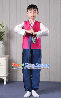 Korean Traditional Dress for Children Boy Clothes Kid Costumes Stage Show Dancing Red Top BluePants