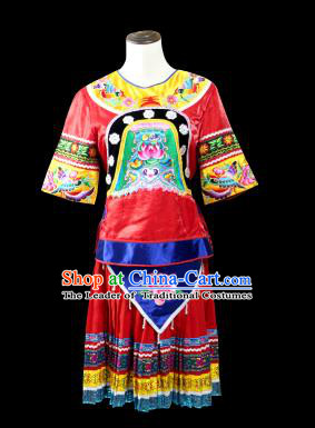 Traditional Chinese Miao Nationality Dancing Costume, Hmong Female Folk Dance Ethnic Pleated Skirt, Chinese Minority Nationality Embroidery Costume for Women