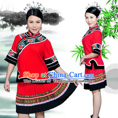 Traditional Chinese Miao Nationality Dancing Costume, Hmong Female Folk Dance Ethnic Pleated Skirt, Chinese Minority Nationality Embroidery Costume for Women