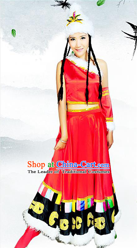Traditional Chinese Zang Nationality Dancing Costume, Tibetan Female Folk Dance Ethnic Pleated Skirt, Chinese Minority Tibetan Nationality Embroidery Costume for Women