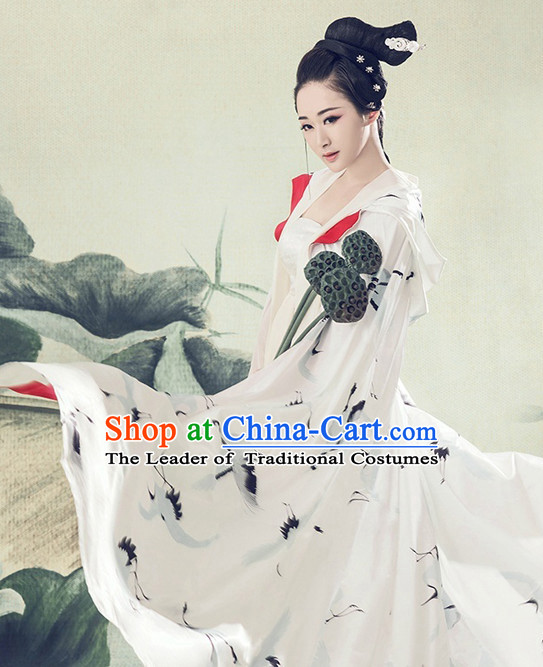Chinese Ancient Mysterious Lady Costumes Cape and Hair Jewelry Complete Set for Women