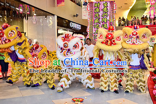 Big Opening Ceremony 100_ Natural Long Wool Lion Dance Equipment Complete Set