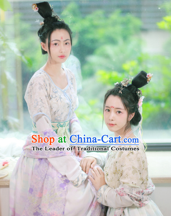 Traditional Chinese Tang Dynasty Clothing Dresses Skirt and Hair Jewelry Complete Set for Women