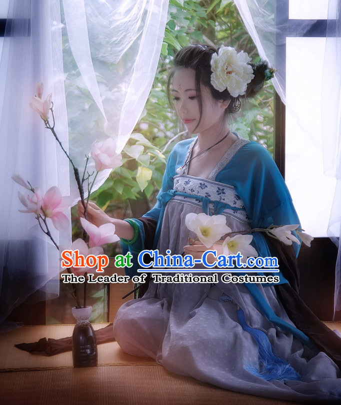 Traditional Chinese Tang Dynasty Hanfu Suit Clothing Dresses Skirt and Hair Jewelry Complete Set for Women