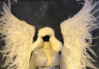 Parade Quality Model Feather Dance Costumes Popular Ostrich Feathers Fancy Costume Stage Drama Costumes Angel Wings Costume Complete Set