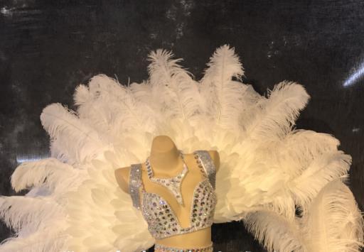 Model Feather Butterfly Dance Costumes Popular Ostrich Feathers Fancy Costume Stage Drama Costumes Angel Wings Parade Costume Complete Set