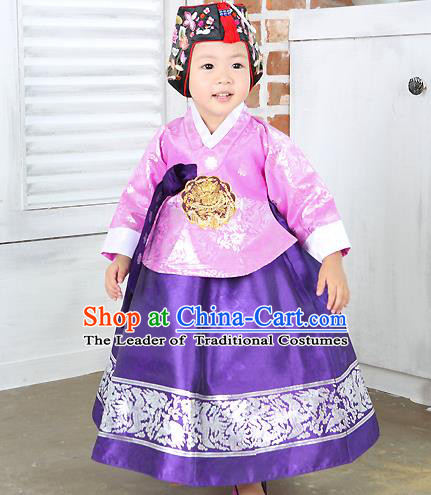 Traditional Korean Handmade Formal Occasions Costume Embroidered Baby Brithday Girls Pink Blouse and Dress Hanbok Clothing