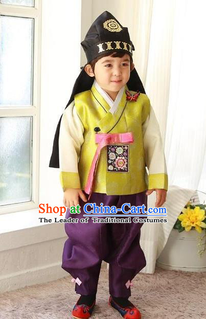 Traditional Korean Handmade Formal Occasions Costume Embroidered Baby Prince Hanbok Clothing for Boys