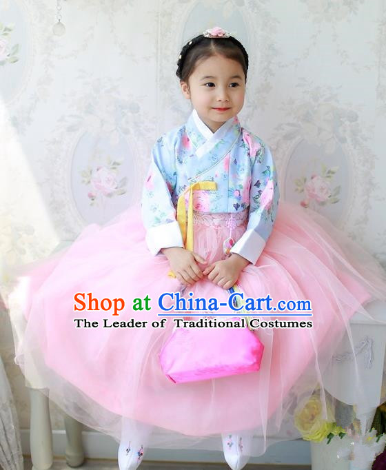 Traditional Korean Handmade Formal Occasions Costume Princess Blue Embroidered Blouse and Pink Dress Hanbok Clothing for Girls