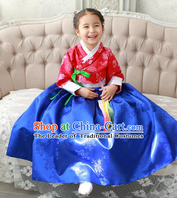 Asian Korean Traditional Handmade Formal Occasions Costume Palace Princess Embroidered Red Blouse and Blue Dress Hanbok Clothing for Girls