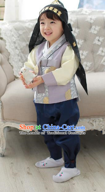 Asian Korean National Traditional Handmade Formal Occasions Boys Embroidery Lilac Hanbok Costume Complete Set for Kids