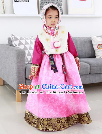 Traditional Korean National Handmade Formal Occasions Girls Palace Hanbok Costume Embroidered Red Blouse and Pink Dress for Kids