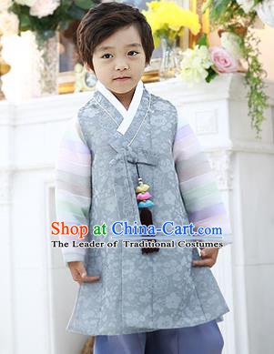 Asian Korean National Traditional Handmade Formal Occasions Boys Embroidery Grey Hanbok Costume Complete Set for Kids